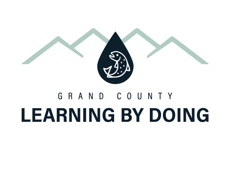 logo4